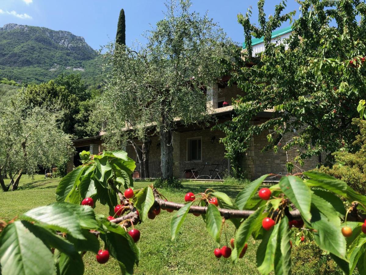 La Cascata Negli Ulivi Bed & Breakfast Toscolano Maderno Exterior photo