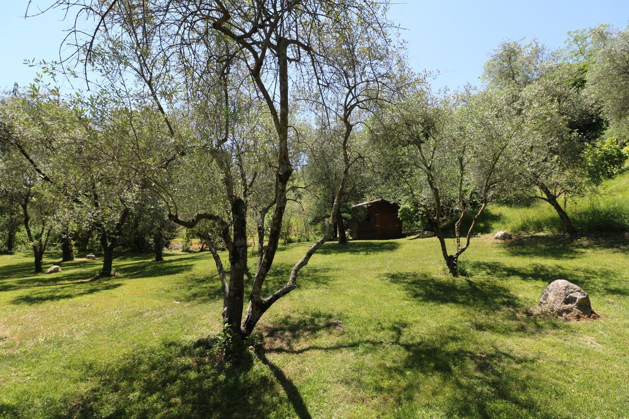 La Cascata Negli Ulivi Bed & Breakfast Toscolano Maderno Exterior photo