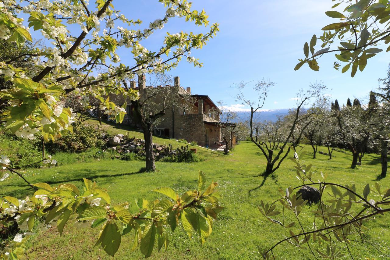 La Cascata Negli Ulivi Bed & Breakfast Toscolano Maderno Exterior photo